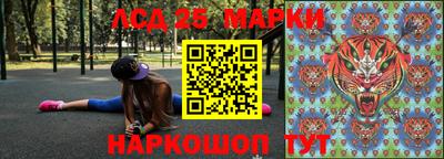 шишки Славгород