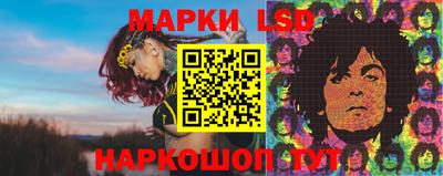 шишки Славгород
