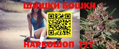 шишки Славгород