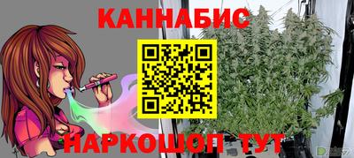 шишки Славгород