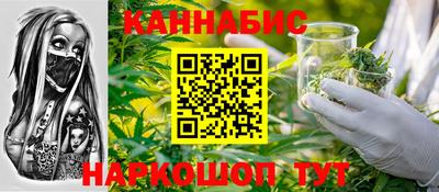 шишки Славгород