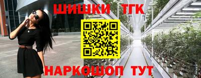 соль ск Сланцы