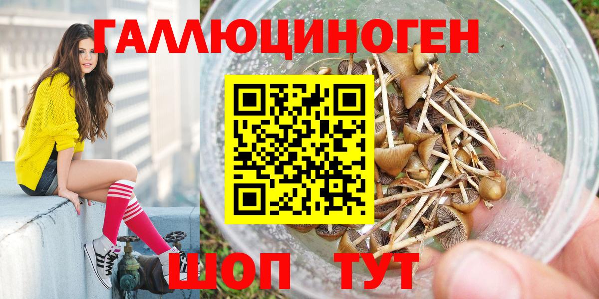 Псилоцибиновые грибы Magic Shrooms Новочеркасск