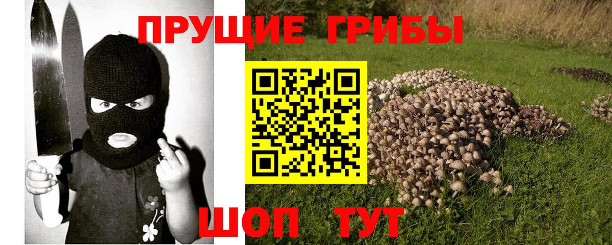 Галлюциногенные грибы ЛСД  Галлюциногенные грибы ЛСД  Вход с VPN  Новочеркасск 